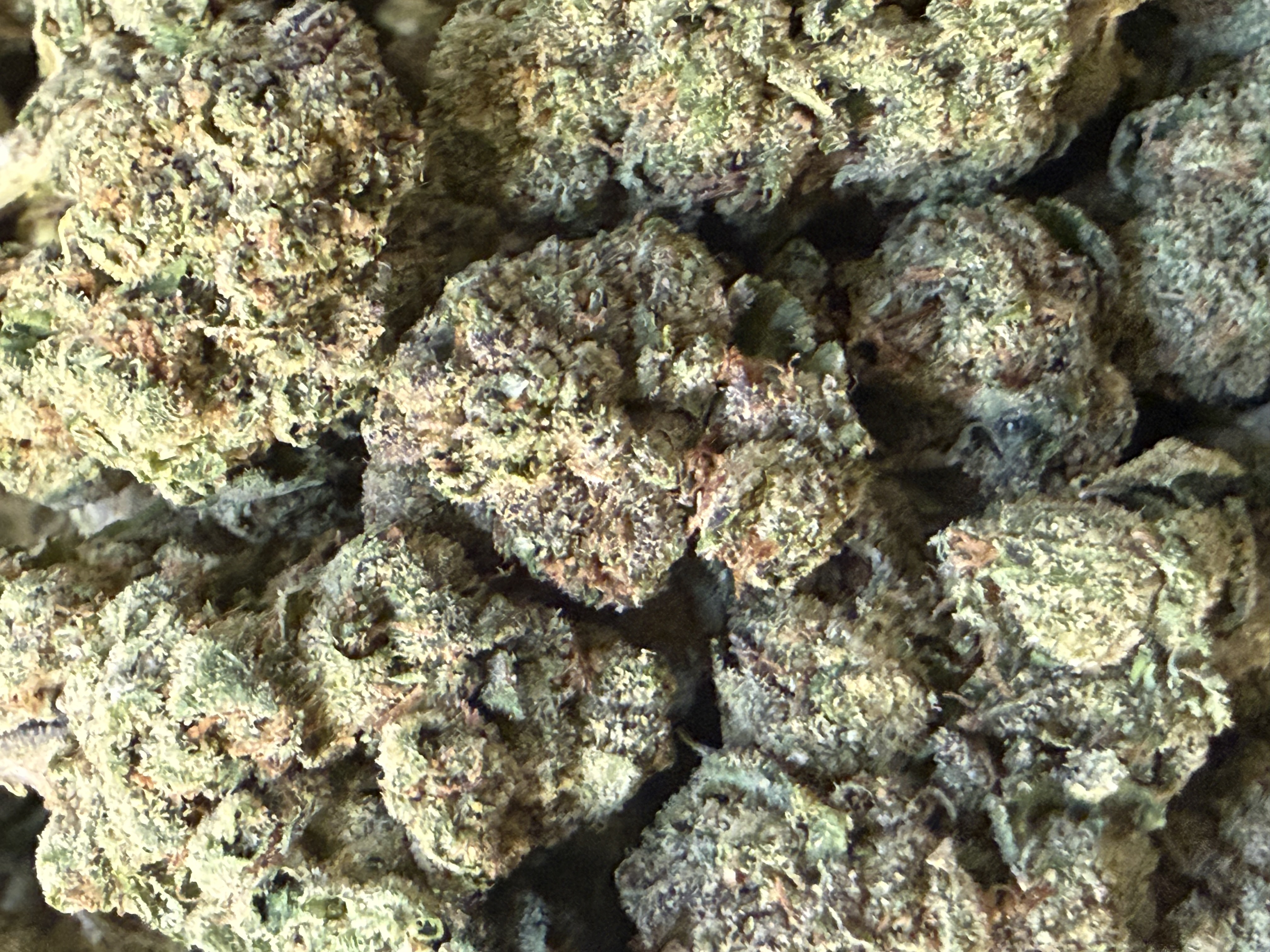 Lemon Cherry Gelato